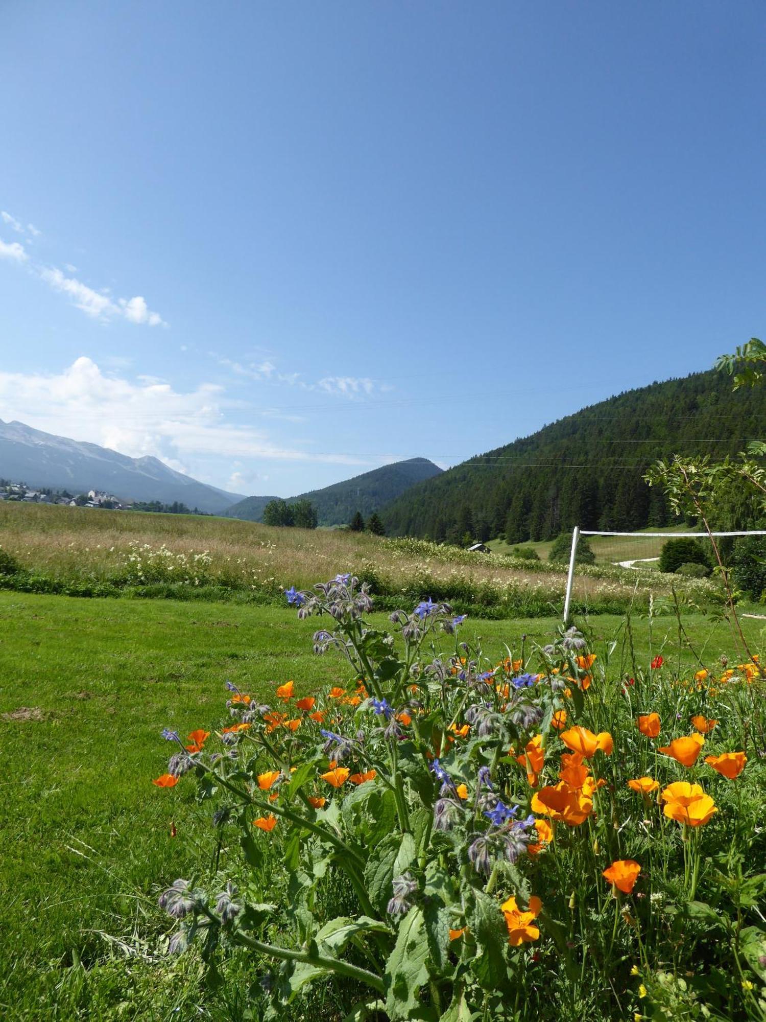 Ferme De La Grande Moucherolle Виллар-де-Ланс Экстерьер фото